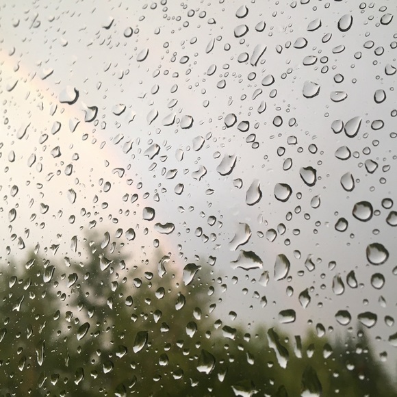 Meet your Posher, Nora - Picture 1 of 1